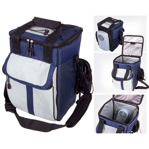 froster bl 309 21l sumka holodilnik termosumka