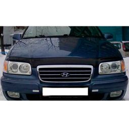 VipTuning Hyundai Trajet '99-07 Дефлектор капота "мухобойка" VipTuning Hyundai Trajet '99-07 Дефлектор капота "мухобойка"