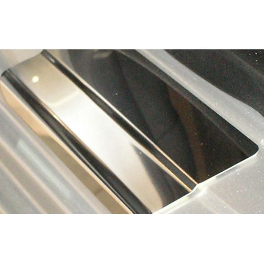 NataNiko Накладки на пороги для Ford Fiesta VI '02-08 (Premium+carbon к-кт 4 шт.)