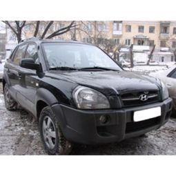 SIM Hyundai Tucson I '04-07 Дефлектор капота "мухобойка" (темный)